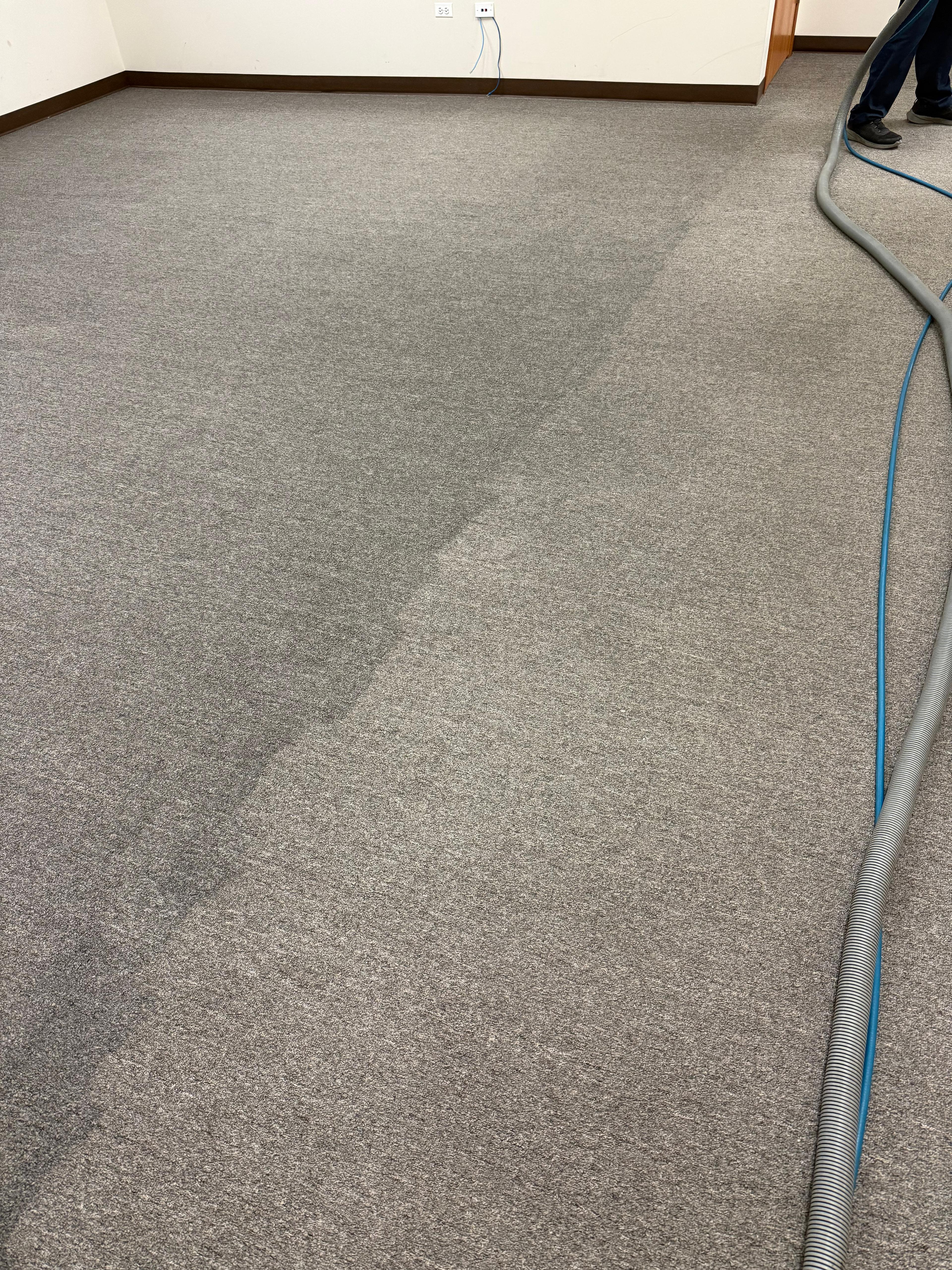 CARPET CLEANING AFTER